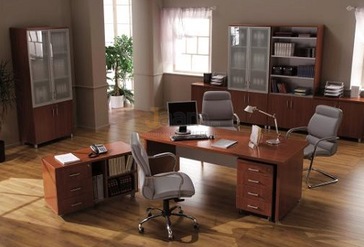 Кабинет руководителя Premier FUTURA